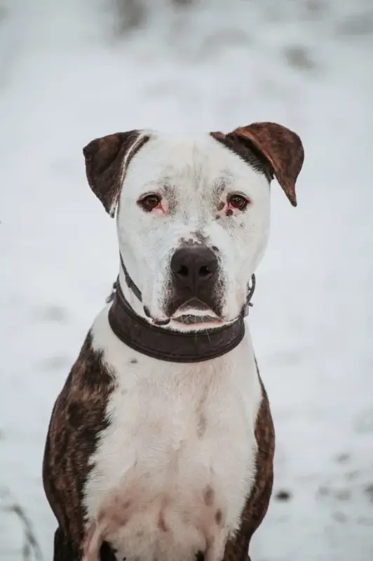 2021-12-12 02-11-28 (1)