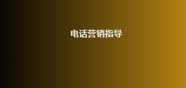 电话营销指导