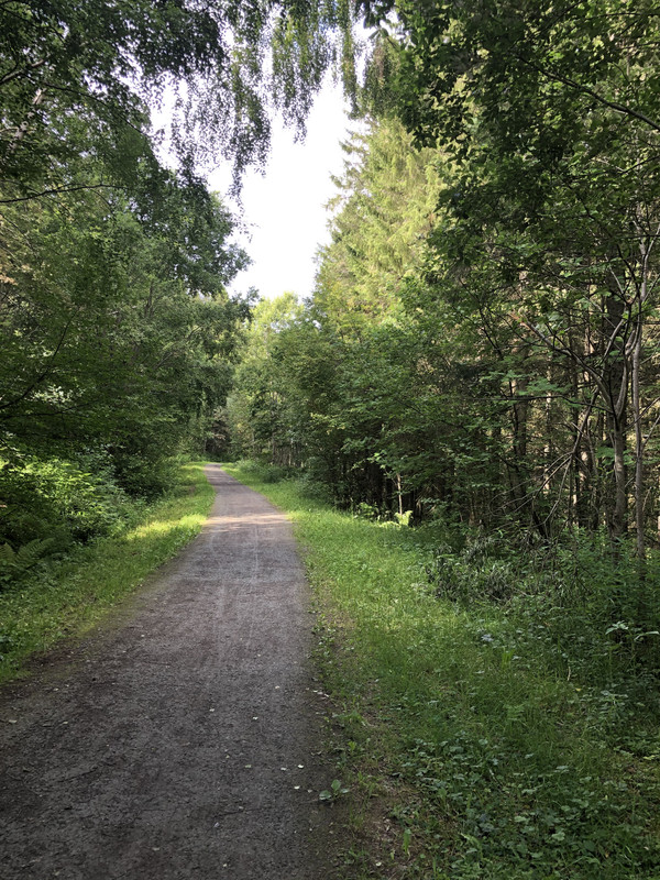 EB5D3667-0FD6-4153-AB44-E1600010A99F