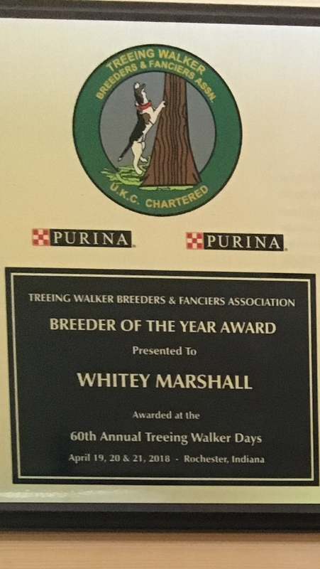 AAC31D96-0C97-41A9-A66F-89CDFC3748F8