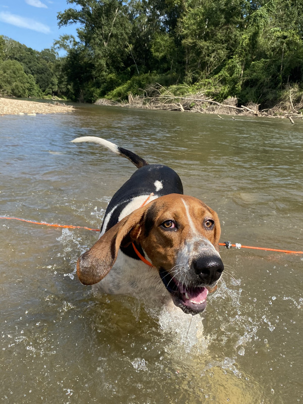 19AB8837-1167-41BD-B040-9ED4B17B034E