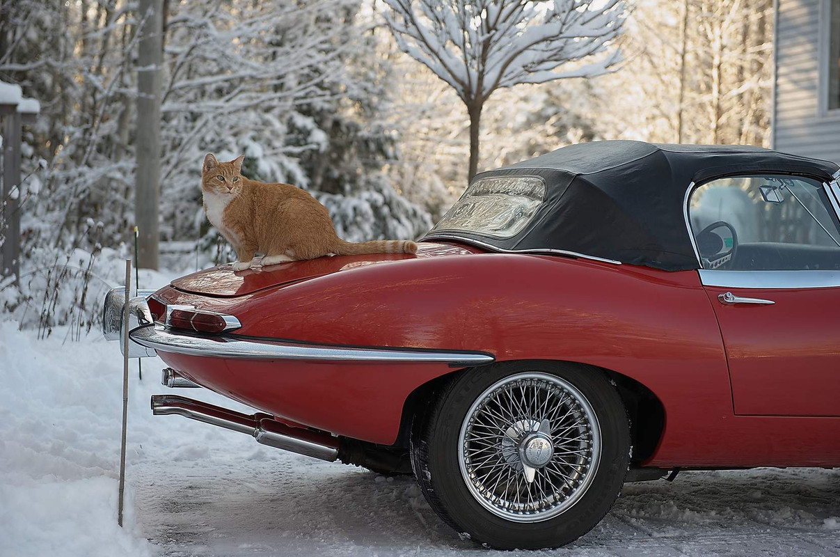 Jag in the Snow 06 (smaller)