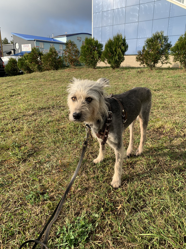 AF49EF44-1563-42CF-8A78-92292142CBBF