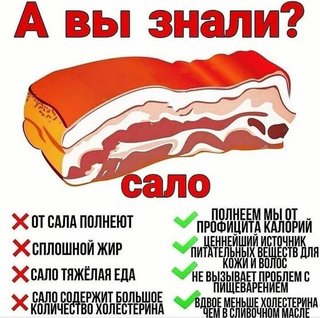 https://i.postimg.cc/bYCP8pmr/56c211a2b52554d3b72f61ebed4c5bb6.jpg
