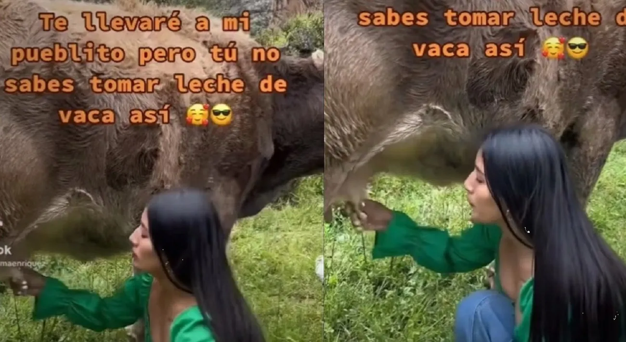 Mujer toma leche directo de una vaca y genera polémica