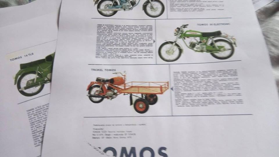 53749622_10214112091216514_8065735843567894528_n