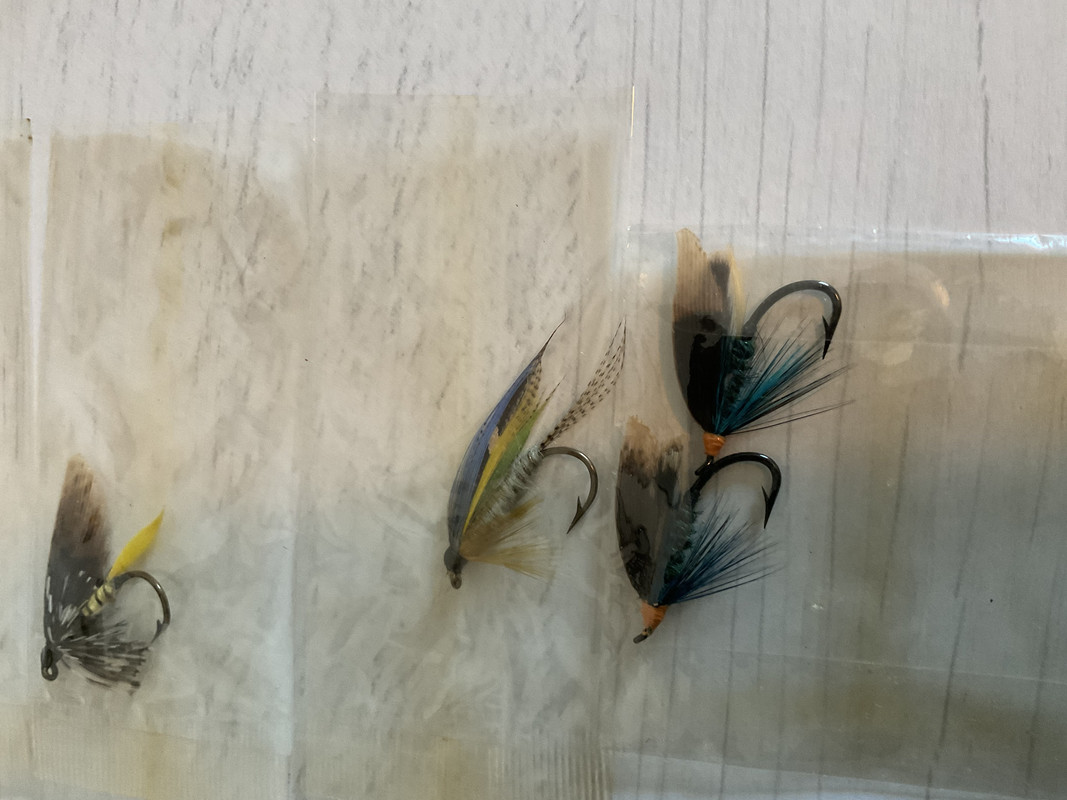 49DE84B1-FFAC-4146-9842-6C33E21857B7