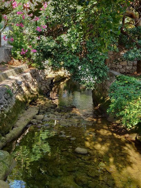 10 días por Eslovenia, Croacia y Bosnia con 3 niños. - Blogs de Europa Oriental - Viernes: Dubrovnik , la perla del Adriático (19)