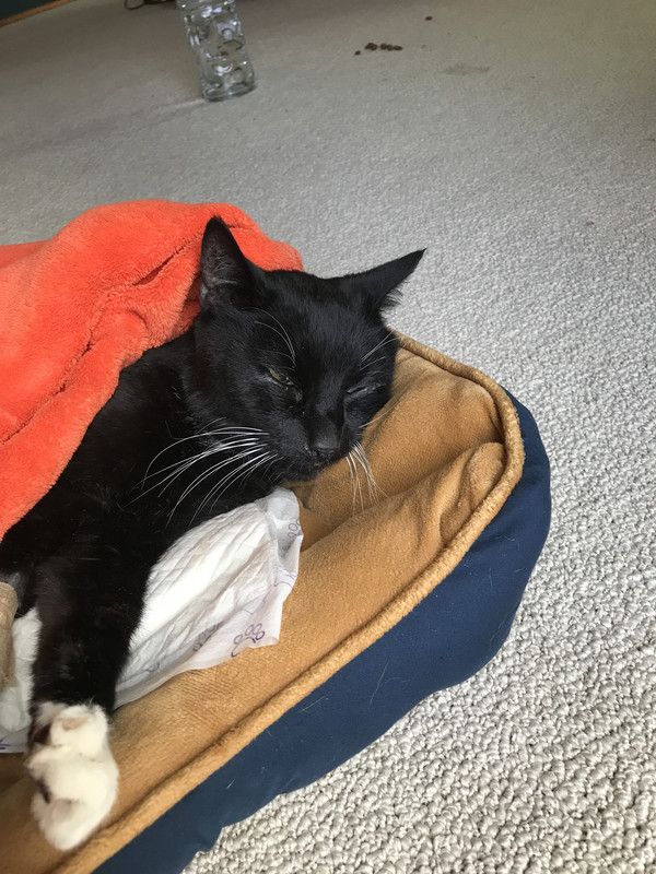 FAC0DFA0-8149-46C1-A6B4-7CAA5EB784AE