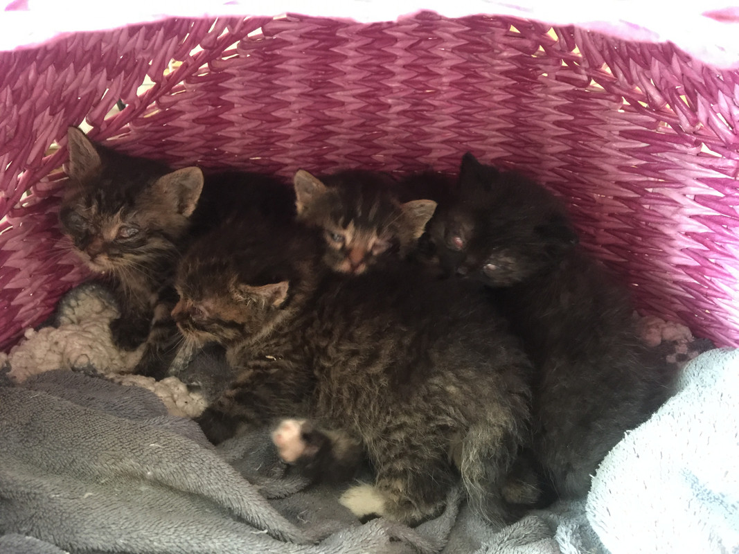 1A0FA74C-786C-43C4-9A23-596B1D1A9071