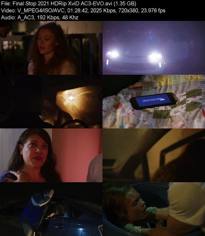 final-stop-2021-hdrip-xvid-ac3-evo.jpg