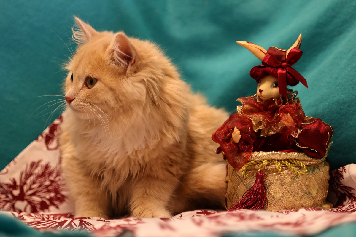 FFC221E6-5242-49F9-81F4-48AD546850E3