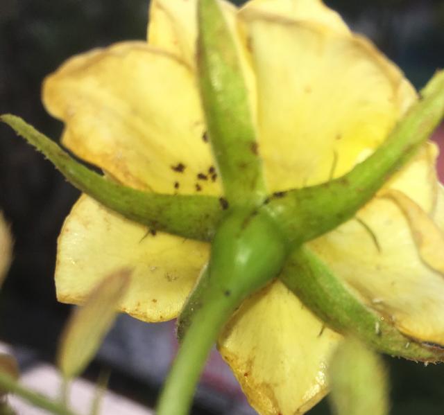 187C0141-1A75-44F3-B7A5-6ED845B1D3A7