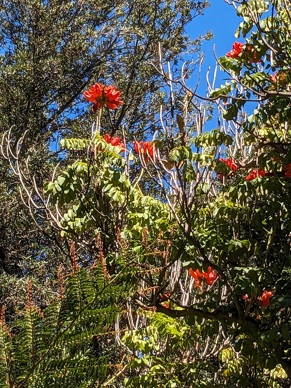 PXL_20240311_023657768