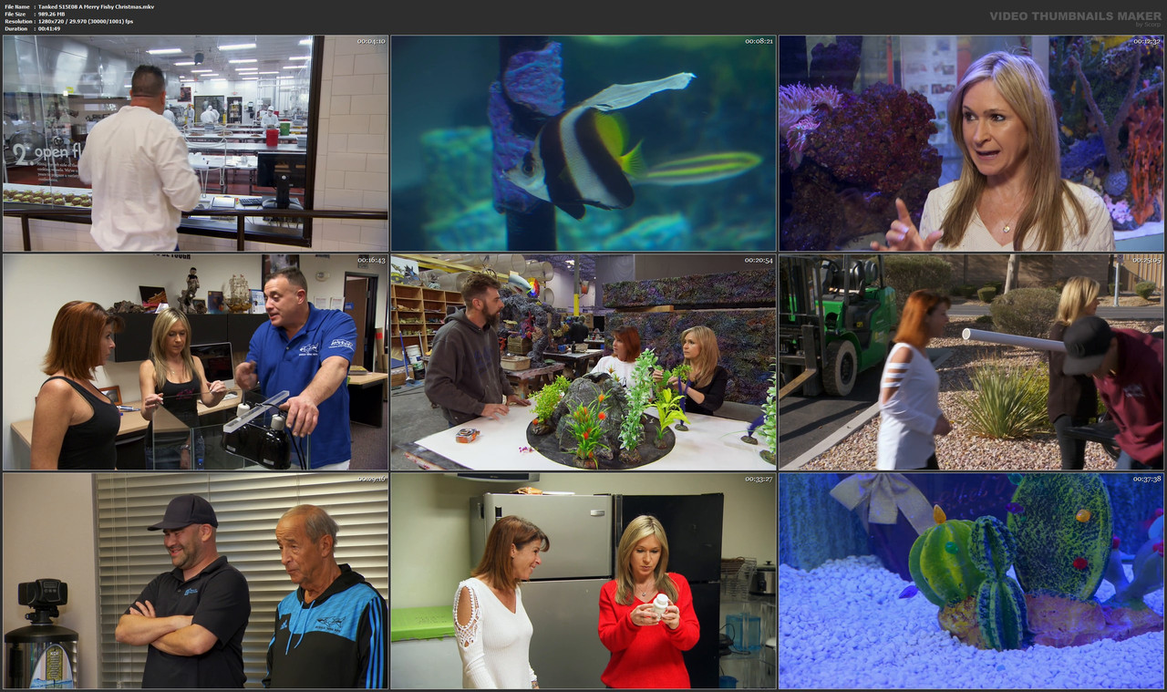 Tanked S15E08 A Merry Fishy Christmas.mkv