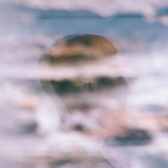 1558003803-500x500-000000-80-0-0.jpg