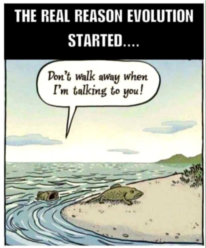 Screenshot_20230426_000924_Chrome