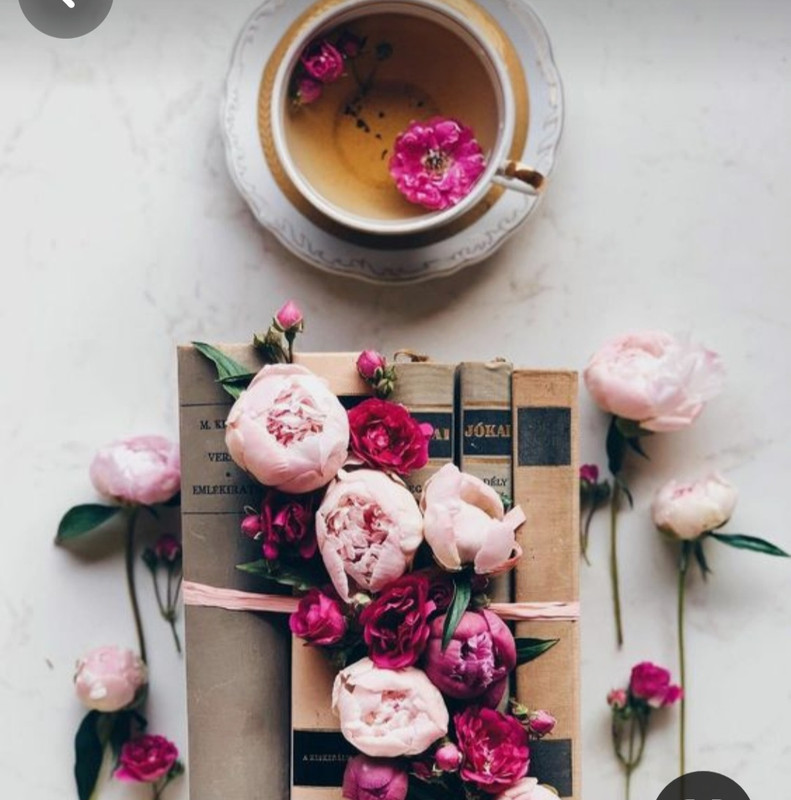 Screenshot_20240506_231149_Pinterest