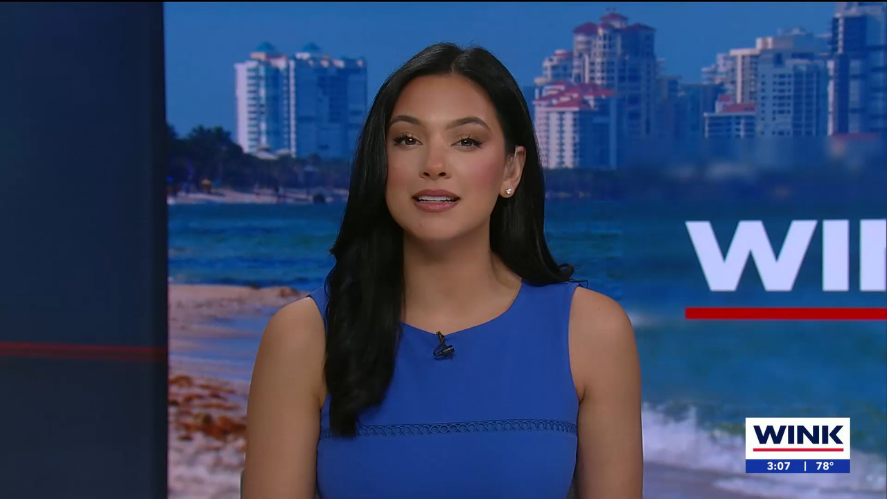 04.05 - 20.00.01 - WINK News at 3pm.   Category  News.      EPG Credi....ts_snapshot_00.09.02.930