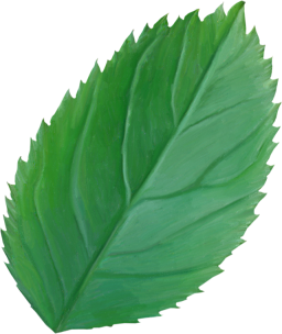 Leaf3