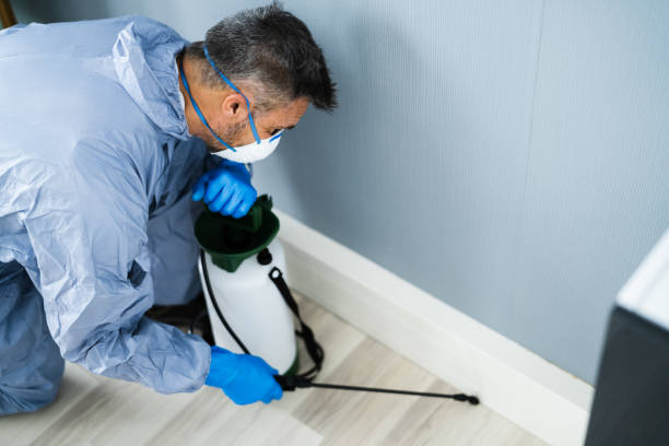 Tampa exterminator