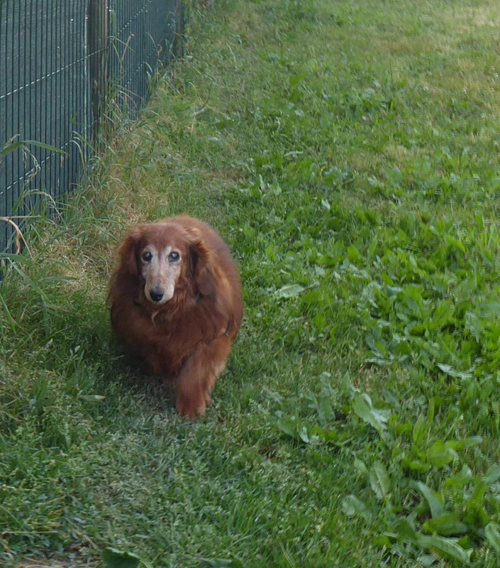 [Image: P1030217.jpg]