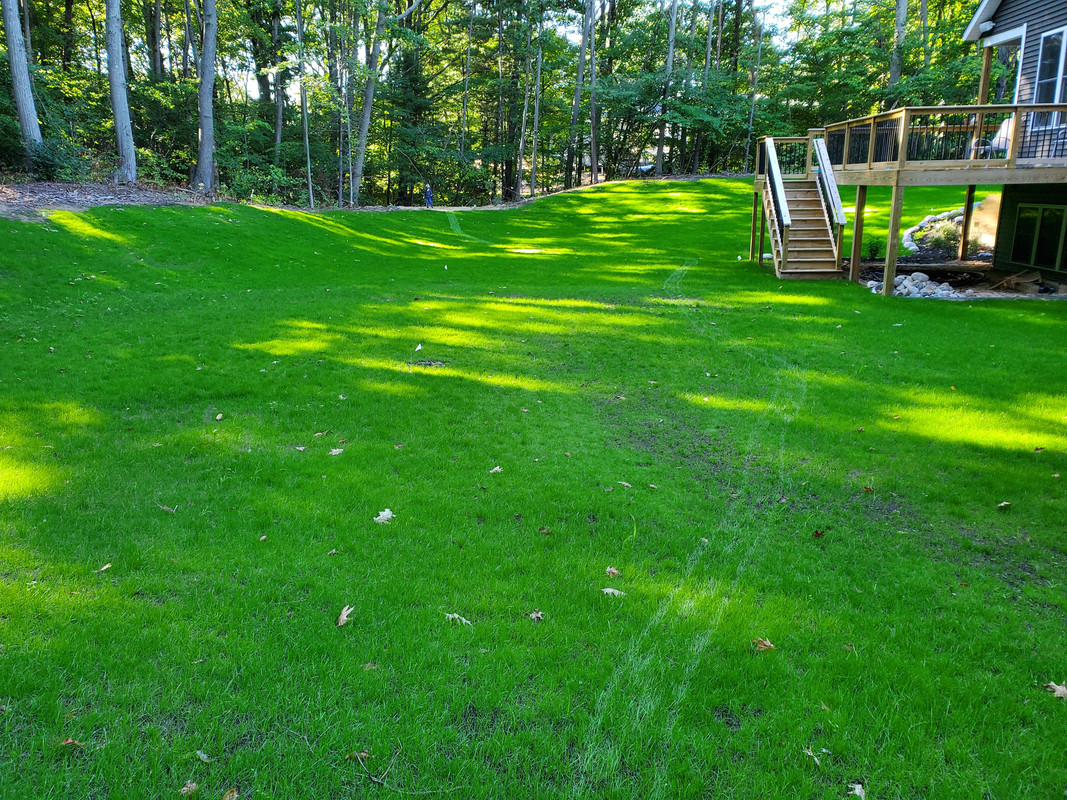 1A980E2C-5A44-4DE6-B401-B7F9FC4BD127