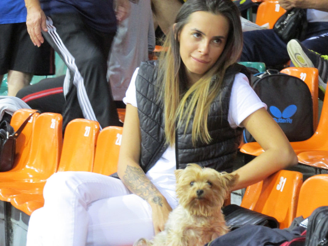 FOCSANI SEPT 2017 - Tur A  (49)