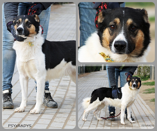 BeFunky-collage (22)