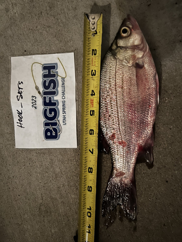 4A123532-8AC8-4833-BC44-597E328A3AFF