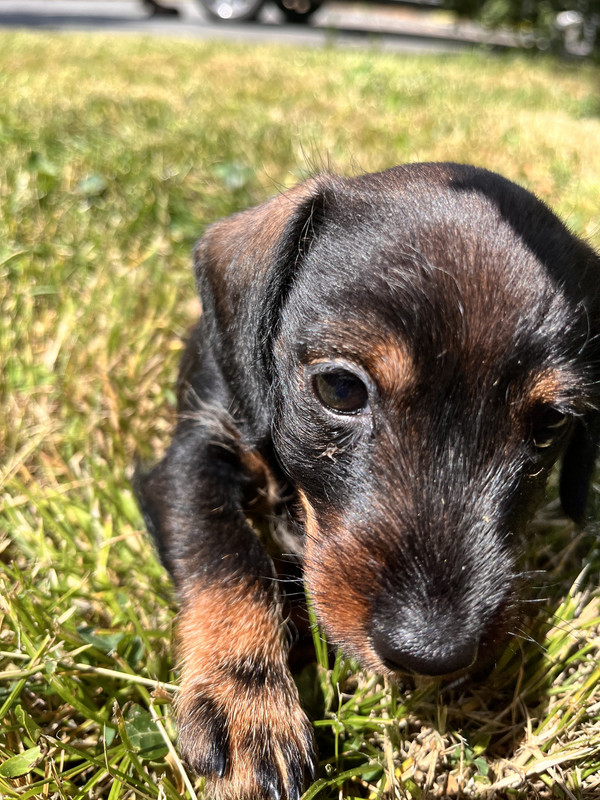 [Image: IMG-0207.jpg]