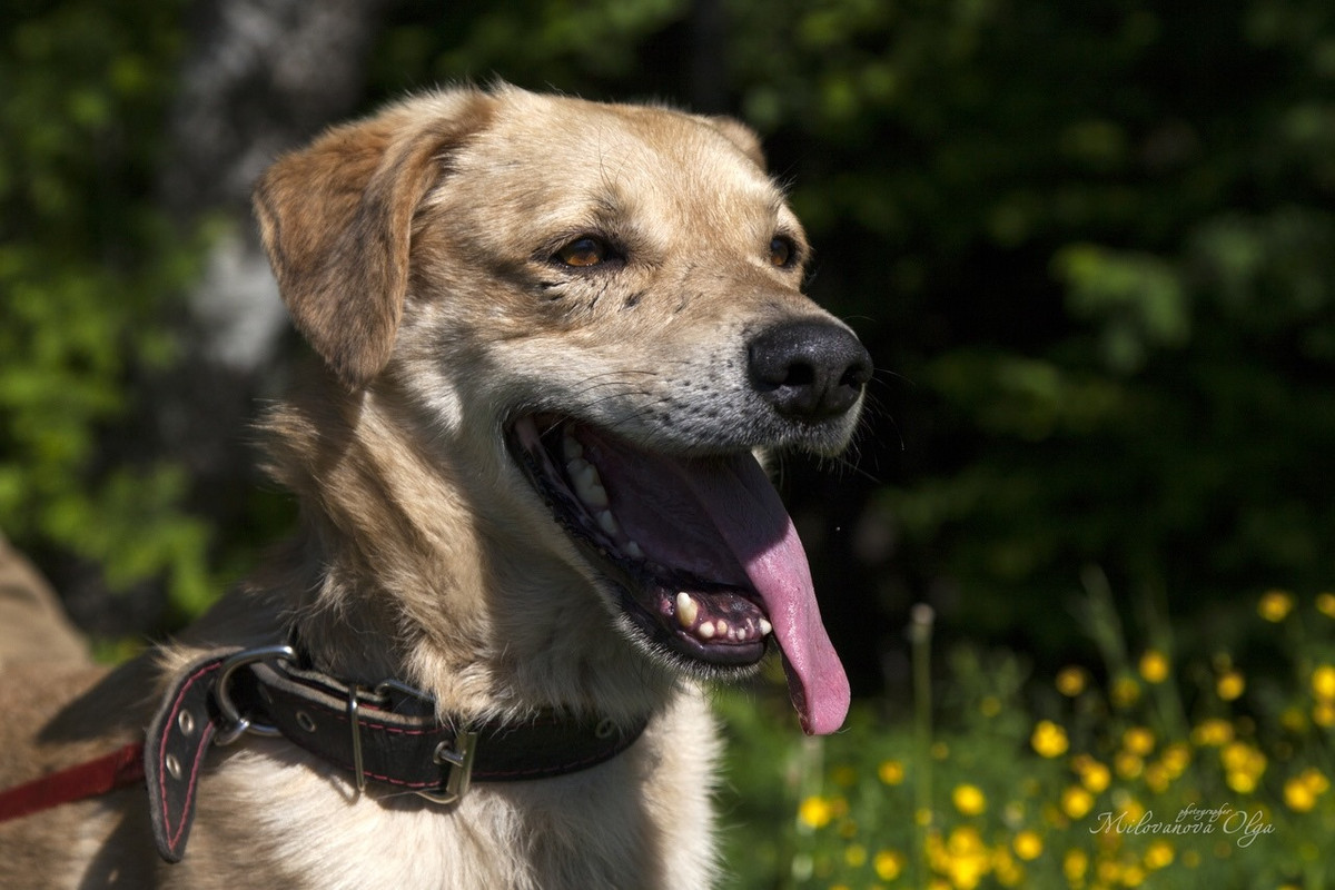 62226917_361673114489641_5682136965470748672_o