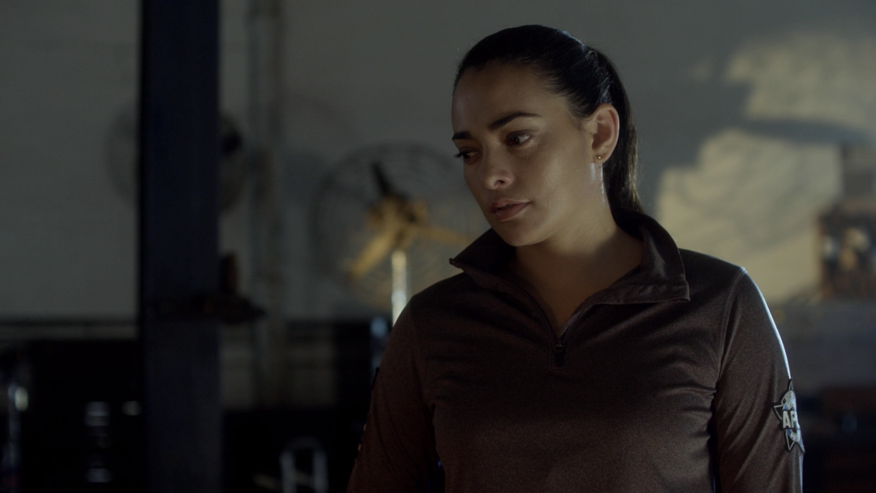 APB 2017 S01E02 Personal Matters WEBRip SDR 10Bit 1080p DDP5 1 HEVC 3Li mkv snapshot 13 33 833