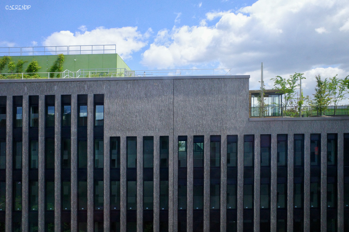 R0012796b.jpg