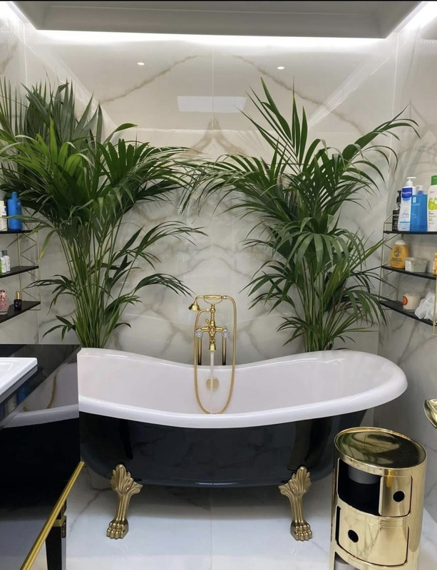 FFEC47C3-7227-4FCA-987A-8E79185E5FED