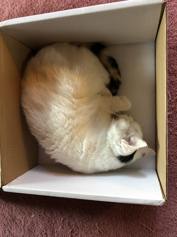 08789BCF-5AD9-4B41-8B65-9257A4C2200E