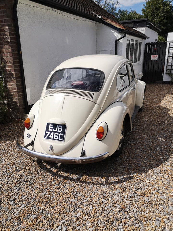 109935962_10157180110427019_604649137559629936_n