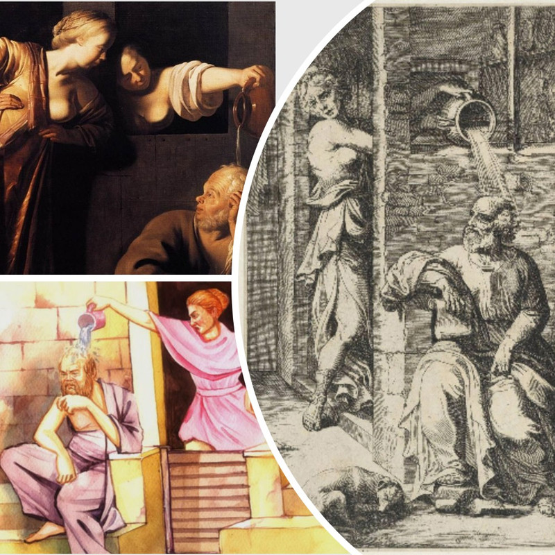 сокраксанта_коллаж