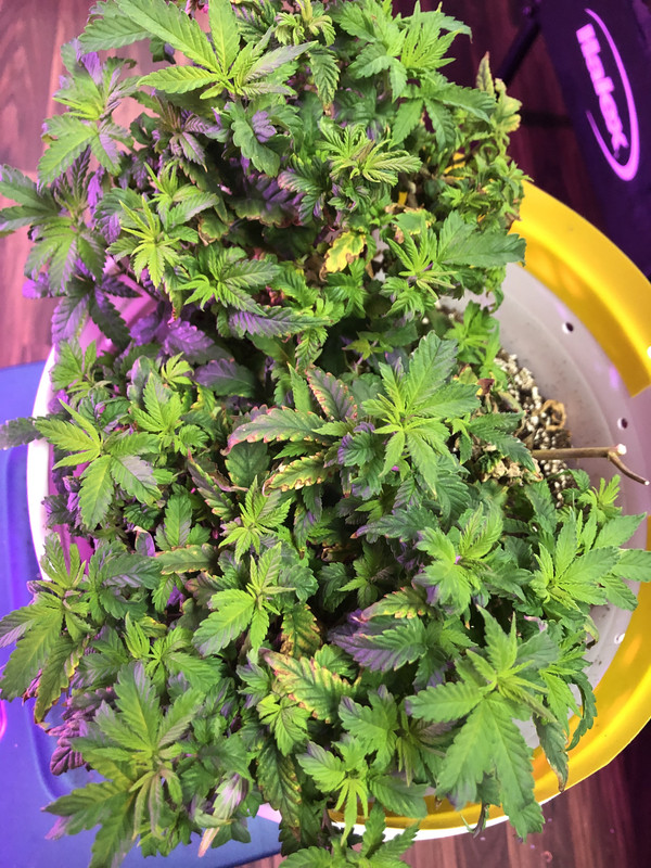 6D07D29B-BD1D-4C31-8972-F379FD00CD05