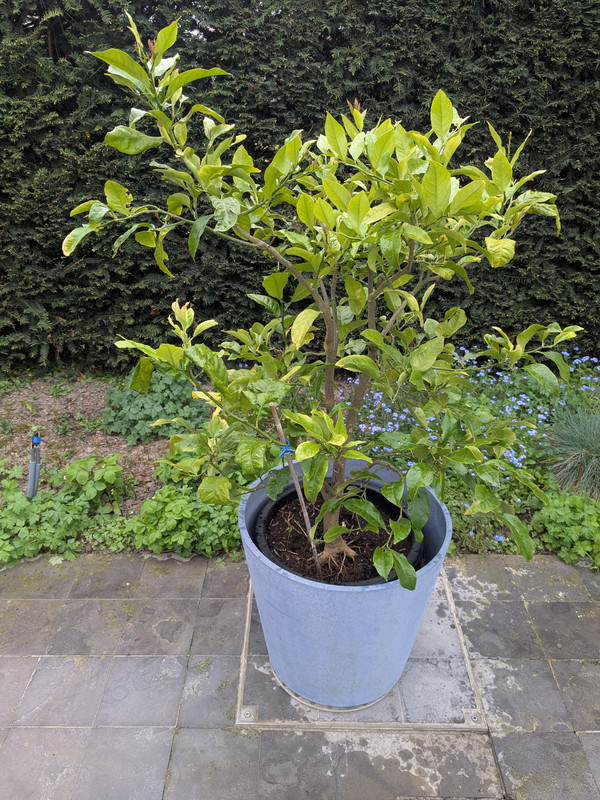 PXL_20250420_104845747.MP