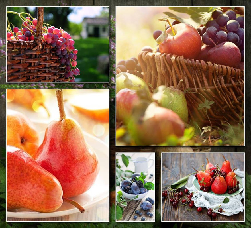 28872591_2077608829141405_5183480774095011840_n