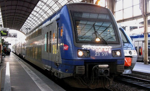 23511.jpg