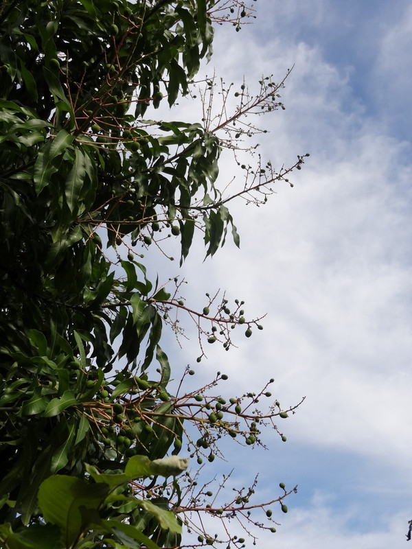 DSC00209