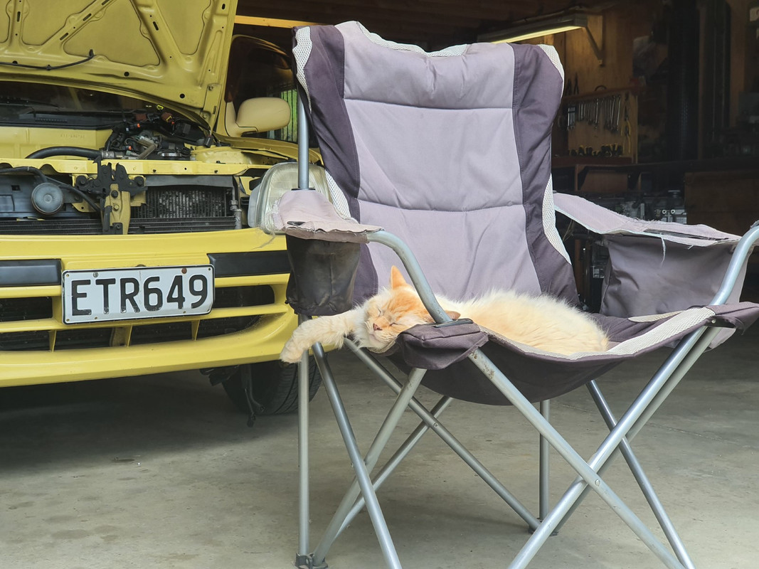 20211130_131946 (Custom)