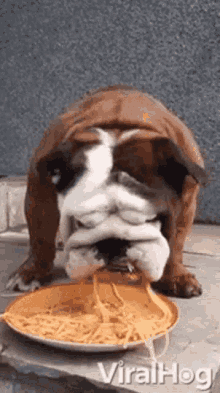yum-food.gif