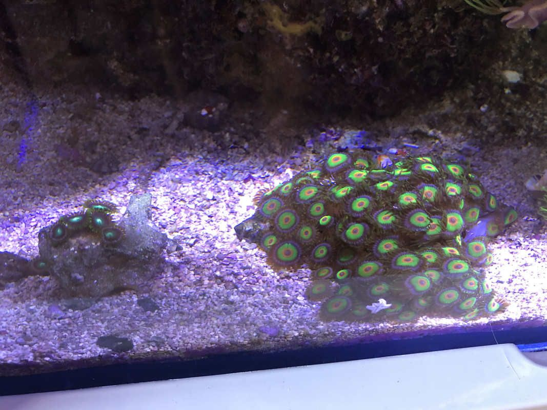 56D18B1F-8752-4CFD-8A54-7EA35C40DBC8