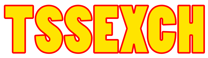 TSSEXCH Logo