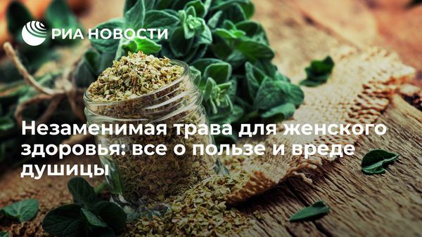 О ПОЛЬЗЕ И ВРЕДЕ МЯСА О ПОЛЬЗЕ И ВРЕДЕ МЯСА