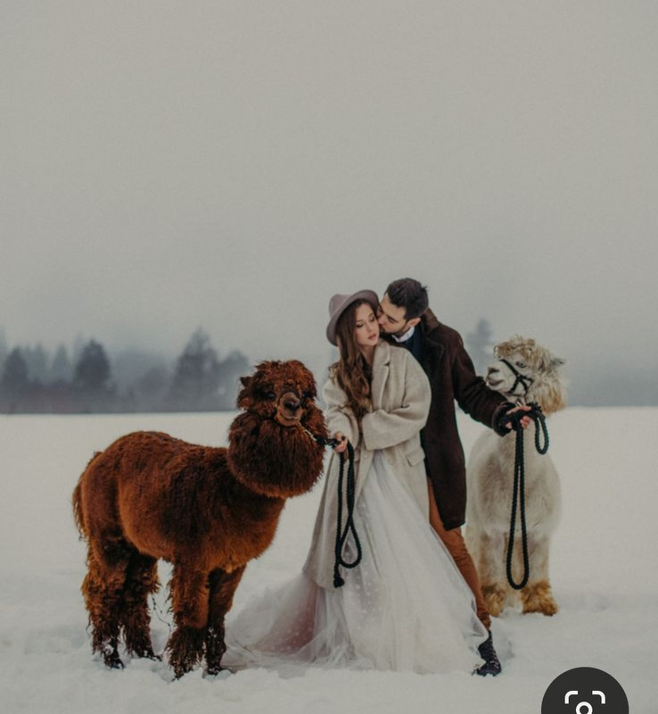 Screenshot_20230921_223131_Pinterest