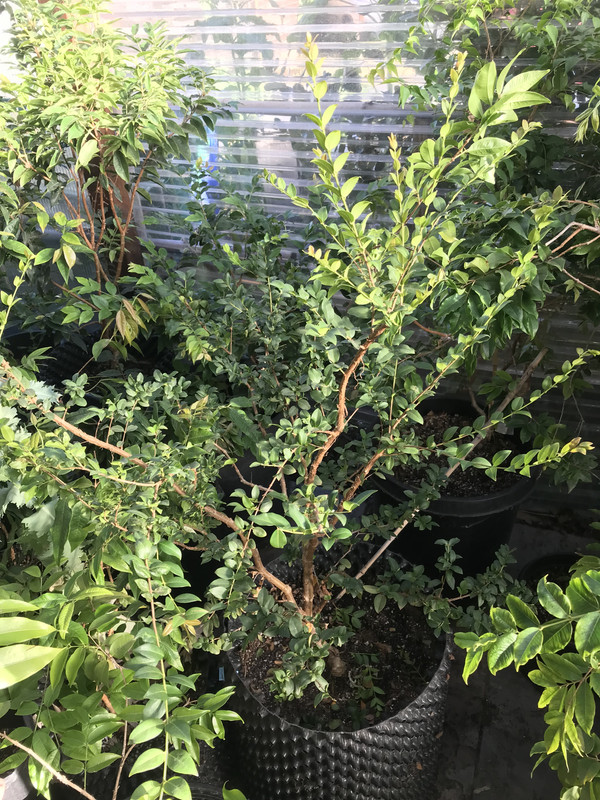 9BFE09D1-61AC-4A81-817D-B29646A0A953